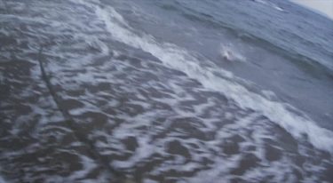 爆風朝マズメの砂浜サーフに立ち向かいシーバスが飛沫を上げる！/三浦半島東部