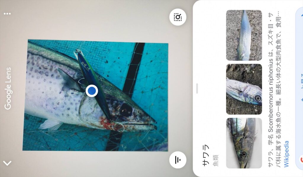 Googleレンズは釣りにも便利に活用できる！