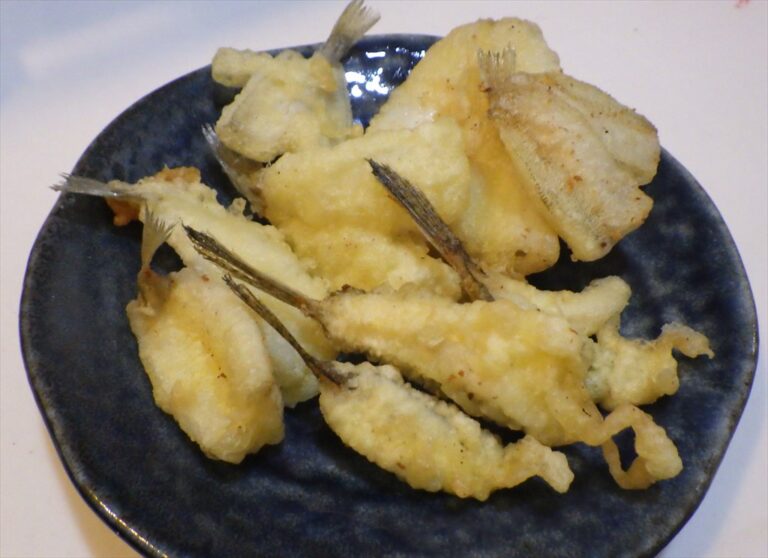 キスの天ぷらが最高に美味い件 釣りブログ Action 釣果ポイントお得な総合情報