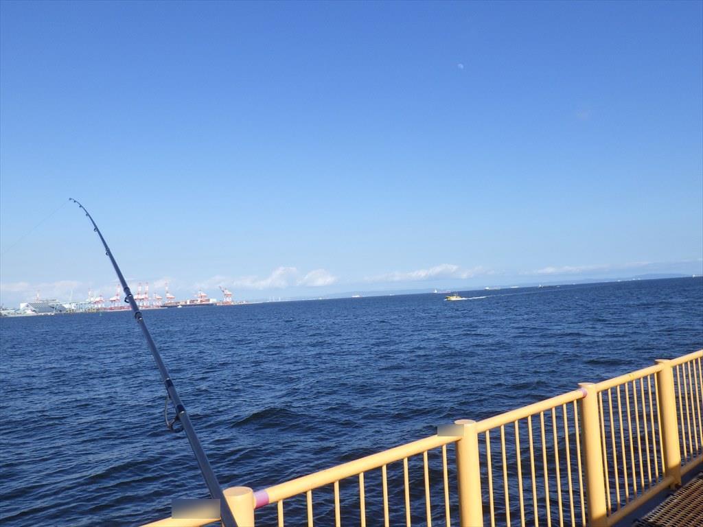 磯子海釣り施設でハゼの泳がせでマゴチ釣り！