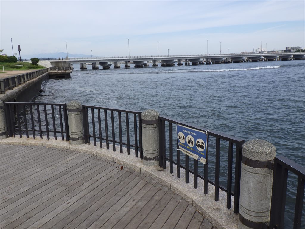 江ノ島のオリンピック記念公園で初釣果！サヨリング成功！？