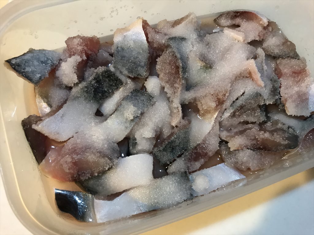 東京湾LTアジ「外道」のサバは“塩漬け”の切り身エサで有効活用！