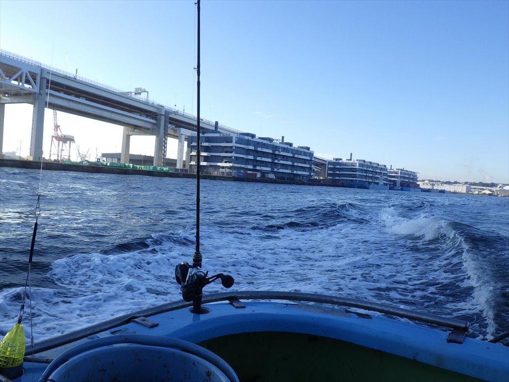 秋の東京湾LTアジは高活性！入れ食い時速20匹ペース
