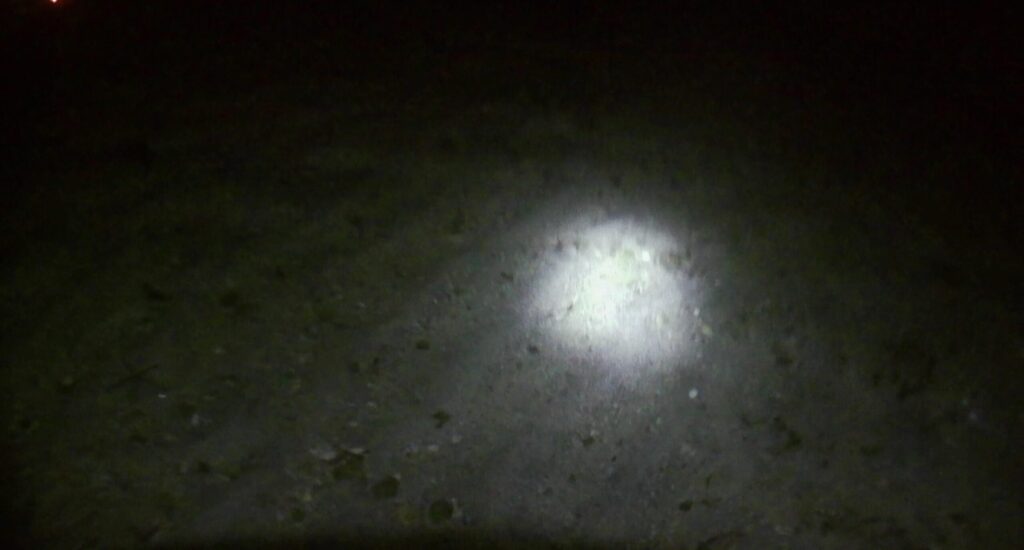 三浦半島シーバス！秋冬の夜磯で産卵前に荒食いする大型マルスズキを狙う！