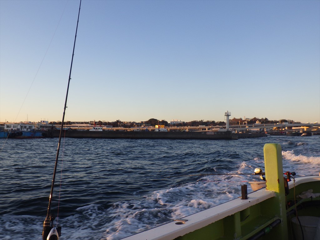 東京湾LTアジは真冬でもたくさん釣れる！安定釣果で楽しいライトアジ！