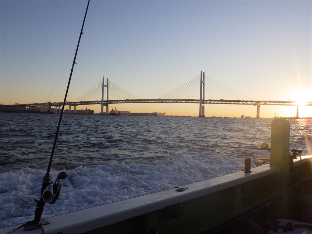 東京湾LTアジは真冬でもたくさん釣れる！安定釣果で楽しいライトアジ！