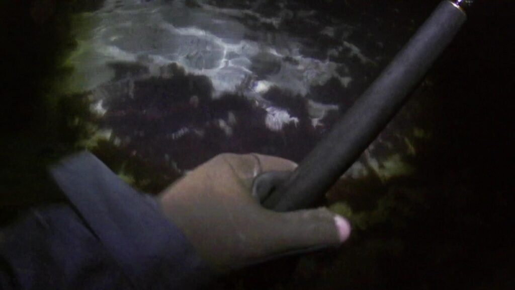 三浦半島で深夜のウェーディングシーバス釣りでトラブル発生！