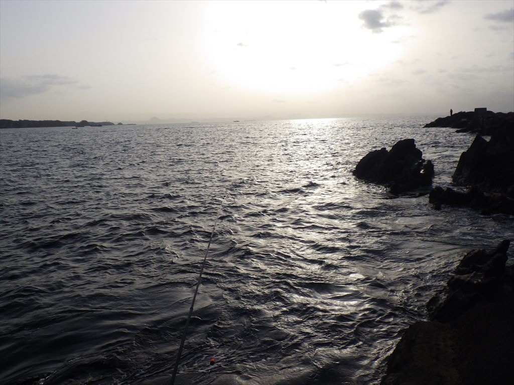 城ヶ島で磯釣り！ふかせ釣りで“無限に釣れる”海タナゴ祭り！
