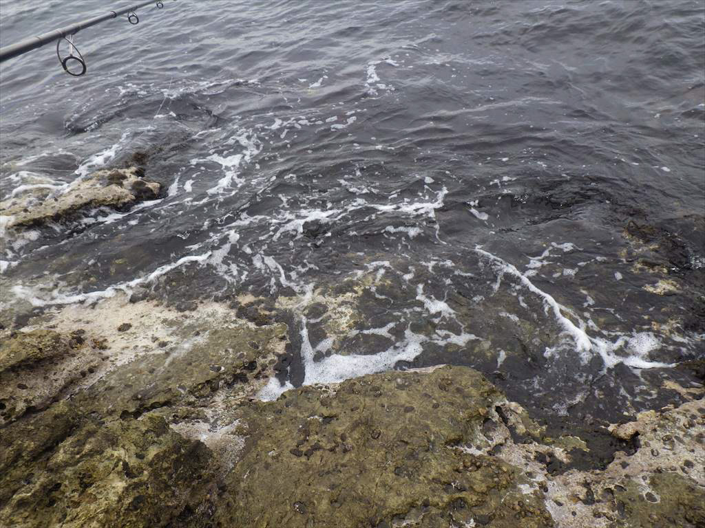 三浦半島ショアジギングでブリのリベンジ！水面を飛び出した正体は！？