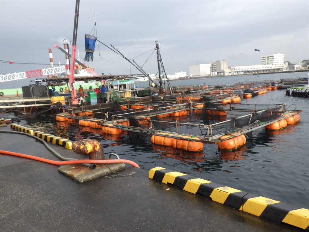 城ヶ島と三崎港の岸壁が全面釣り禁止！？