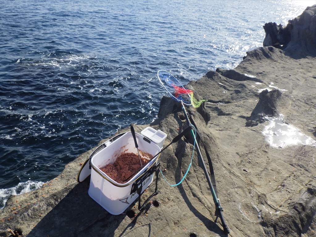 三浦半島の磯釣りで良型寒グレを痛恨のバラシ！悔やまれる原因は？