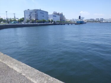 真夏の横浜根岸港でルアー釣り！目撃した多数の魚と大型魚！？